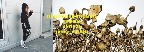 амф Навашино