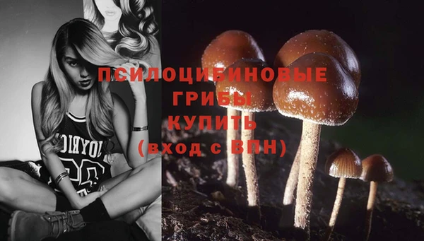 прущая мука Надым