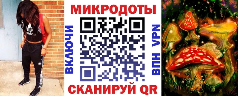 Купить где  Короча  Псилоцибиновые грибы мухоморы 